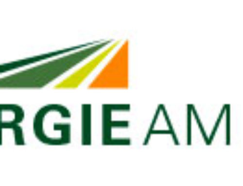 Logo Bioenergie Am Kiecker