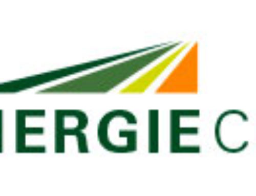 Logo Bioenergie Conow