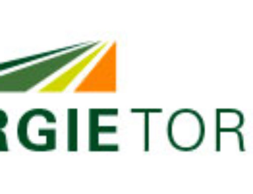 Logo Bioenergie Tornowhof