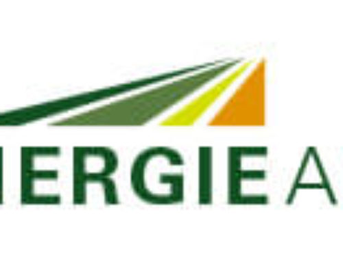 Logo Bioenergie am Berg