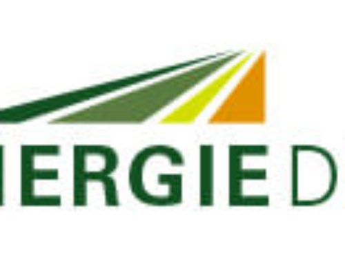 Logo Bioenergie Demerthin