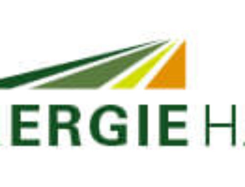 Logo Bioenergie Haar