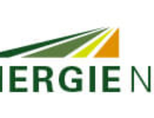 Logo Bioenergie Neuhaus