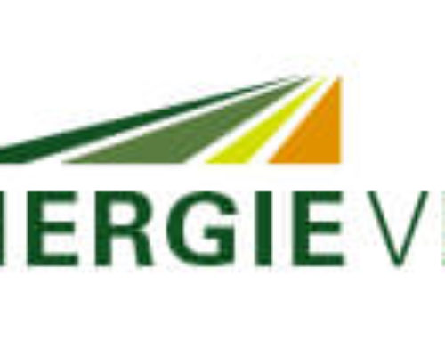 Logo Bioenergie Vehlow