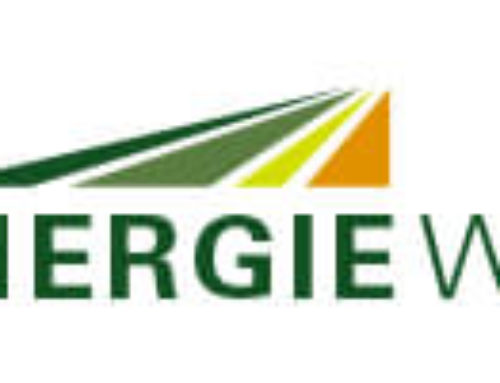 Logo Bioenergie Wutike