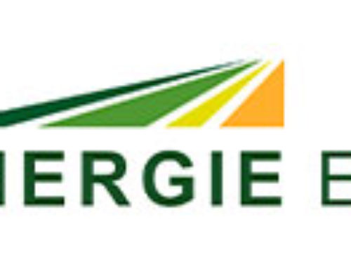 logo Bioenergie Elbtal